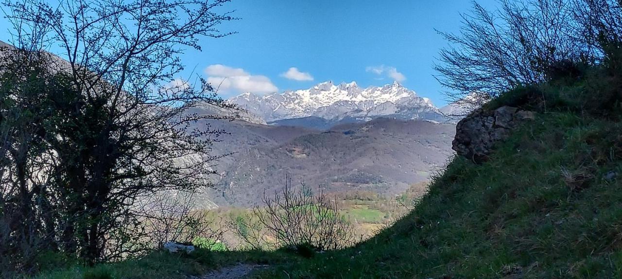 Apartamento La Teyera II Cangas de Onis Luaran gambar